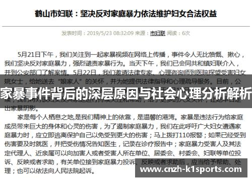 家暴事件背后的深层原因与社会心理分析解析