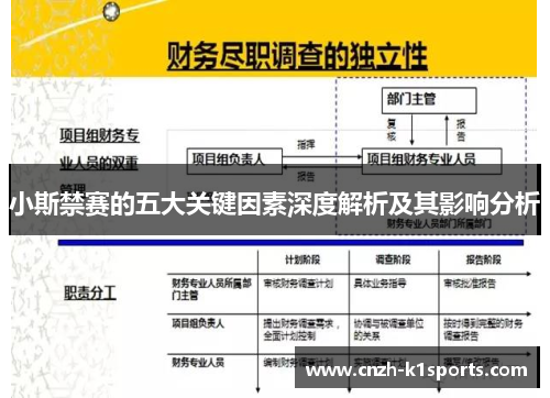 小斯禁赛的五大关键因素深度解析及其影响分析